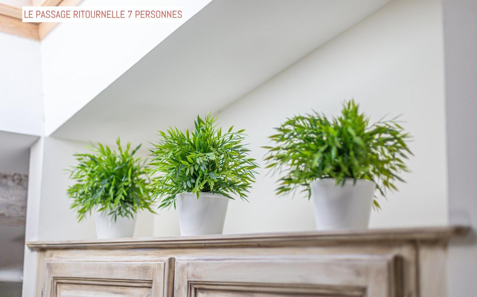 Le Passage Bed & Breakfast Carcassonne Dış mekan fotoğraf