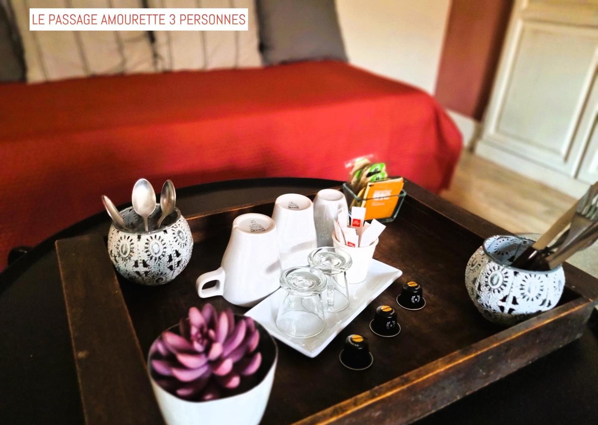 Le Passage Bed & Breakfast Carcassonne Dış mekan fotoğraf