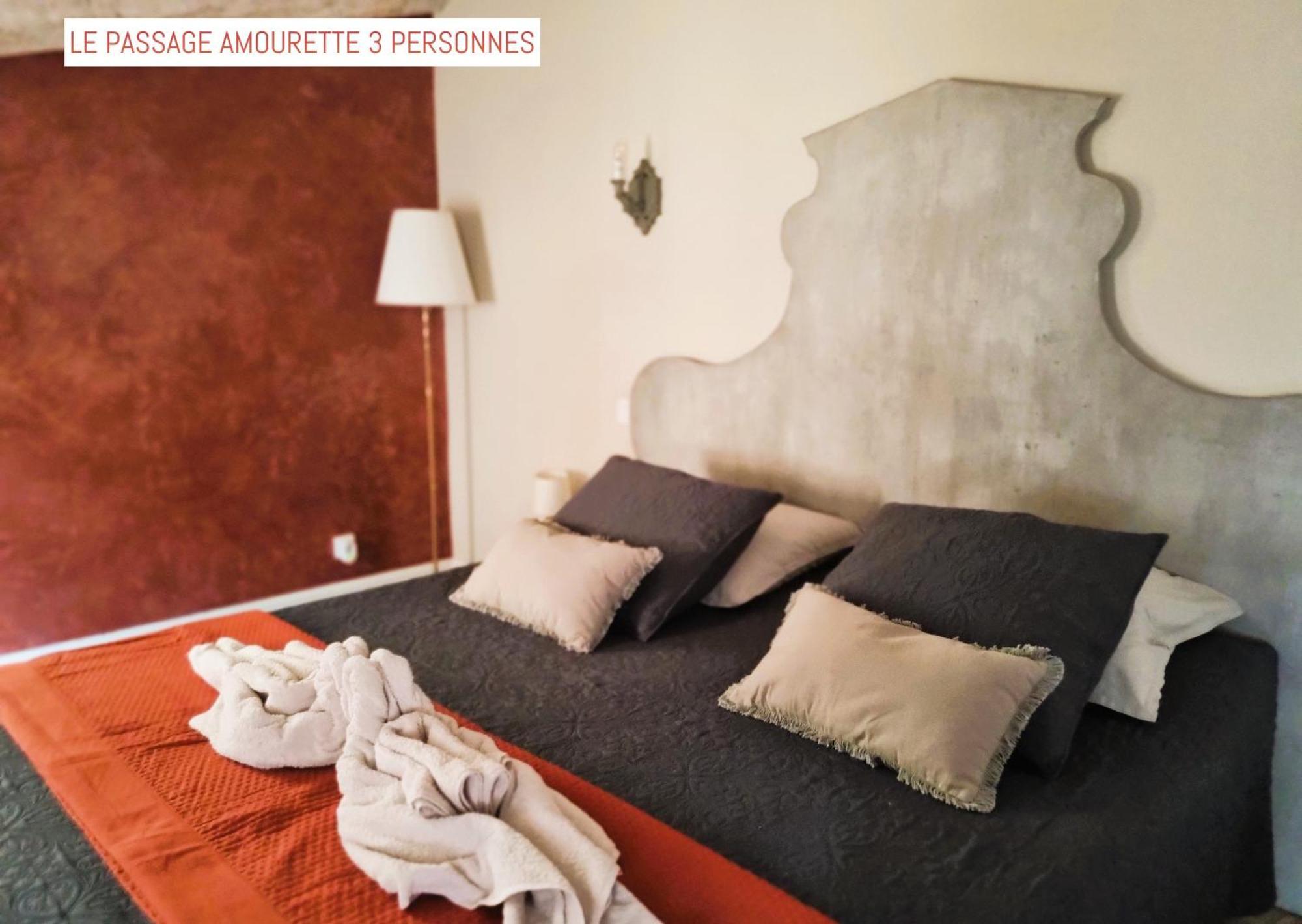 Le Passage Bed & Breakfast Carcassonne Dış mekan fotoğraf