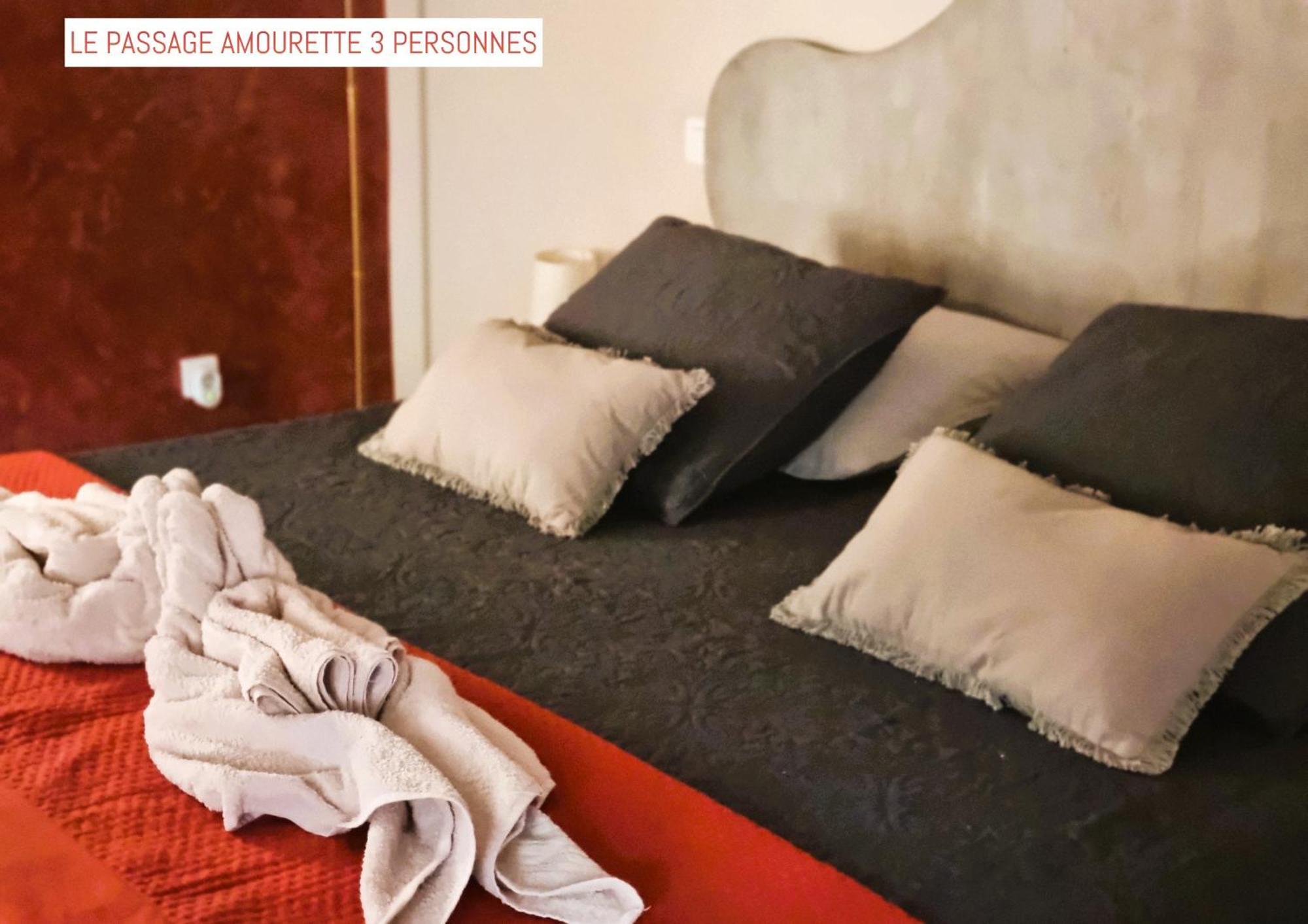 Le Passage Bed & Breakfast Carcassonne Dış mekan fotoğraf